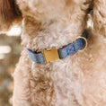 Load image into Gallery viewer, Jolie Glitter Dog Collar