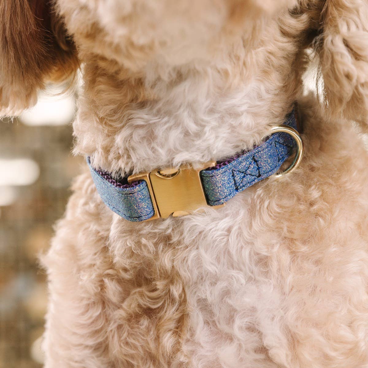 Jolie Glitter Dog Collar