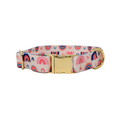 Load image into Gallery viewer, Clarke Rainbow Dog Collar