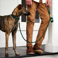 Load image into Gallery viewer, Evergreen Dog Collar