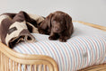 Load image into Gallery viewer, Kaya Dog Blanket - Large