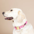 Load image into Gallery viewer, Chrishell Gingham Dog Collar