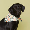 Load image into Gallery viewer, Peaches and Cream Dog Bandana