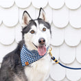 Load image into Gallery viewer, Ocean Marine Rope Dog Leash