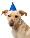 Load image into Gallery viewer, Pawty Birthday Hats