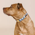 Load image into Gallery viewer, Ringo Plaid Dog Collar