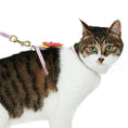 Load image into Gallery viewer, Diagonal Striped Cat Leash & Harness Set
