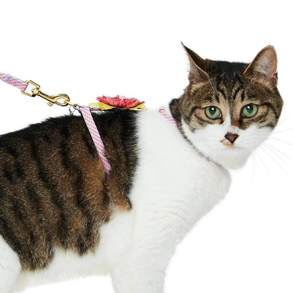 Diagonal Striped Cat Leash & Harness Set