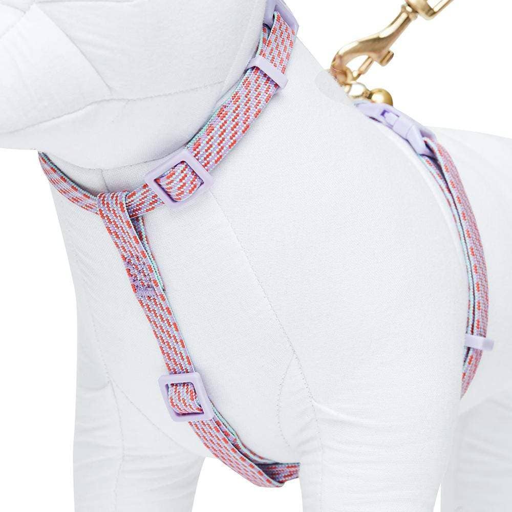 Diagonal Striped Cat Leash & Harness Set