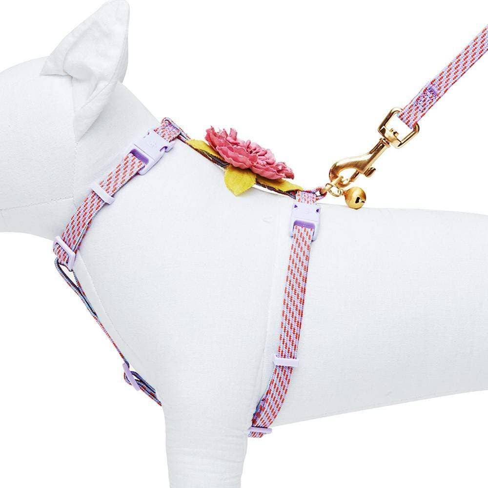 Diagonal Striped Cat Leash & Harness Set