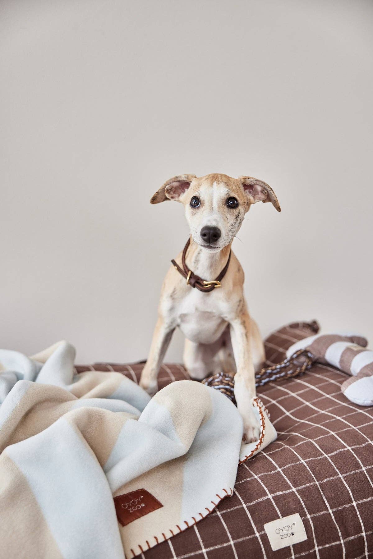 Kaya Dog Blanket- Medium