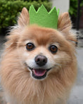Load image into Gallery viewer, PARTY BEAST CROWN