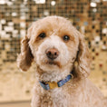 Load image into Gallery viewer, Jolie Glitter Dog Collar