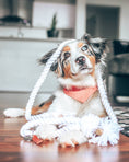 Load image into Gallery viewer, POLKA DOT BANDANA