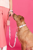 Load image into Gallery viewer, Clarke Rainbow Dog Collar