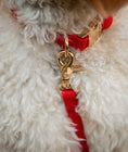 Load image into Gallery viewer, Cherry Red Waterproof Dog Collar