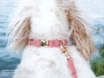 Load image into Gallery viewer, Perfect Pink Waterproof Dog Collar