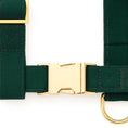Load image into Gallery viewer, Evergreen Dog Harness
