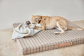 Load image into Gallery viewer, Kaya Dog Blanket- Medium