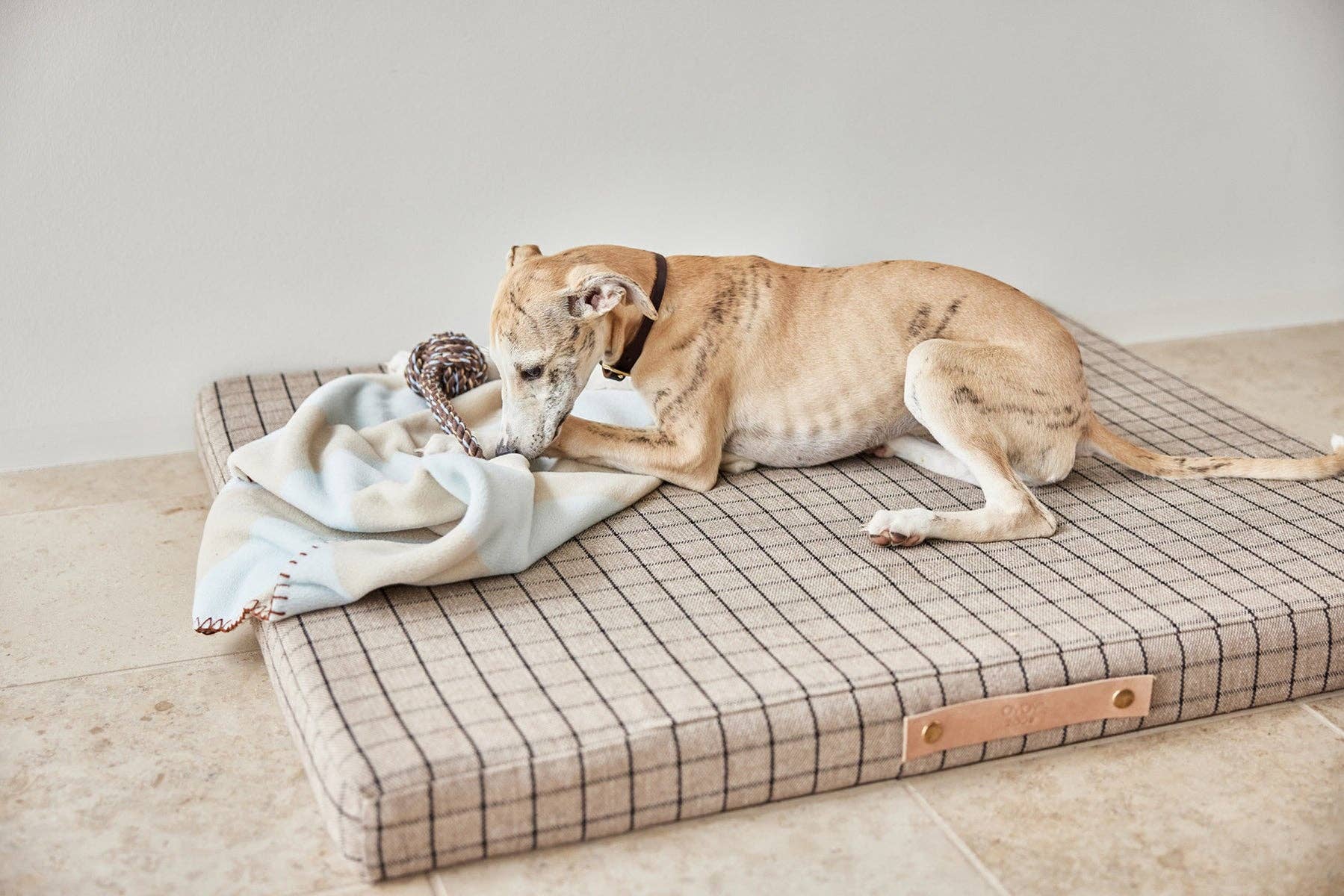 Kaya Dog Blanket- Medium