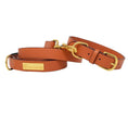Load image into Gallery viewer, Ainsley Vegan Leather Dog Leash