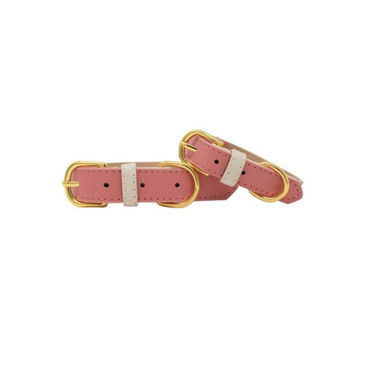 Lola Dog Collar
