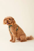 Load image into Gallery viewer, Evergreen Dog Harness