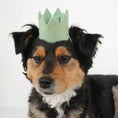 Load image into Gallery viewer, NEUTRAL PARTY CROWNS
