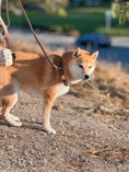 Load image into Gallery viewer, Espresso Brown Waterproof Dog Collar