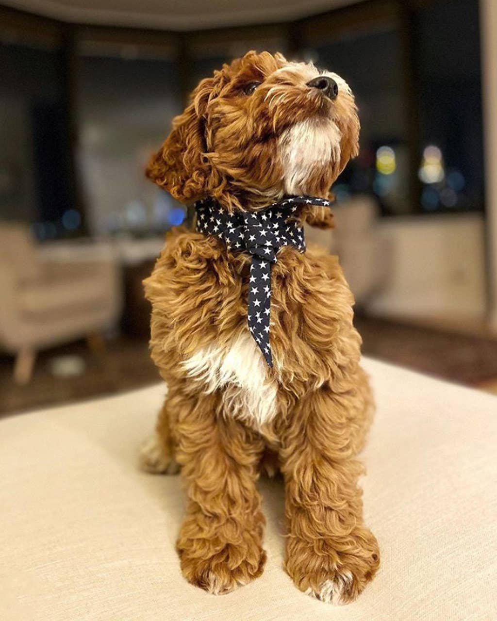 Classic Blue Necktie