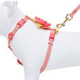 Load image into Gallery viewer, Diagonal Striped Cat Leash & Harness Set