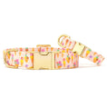 Load image into Gallery viewer, Sundae Funday Dog Collar
