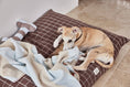 Load image into Gallery viewer, Kaya Dog Blanket - Large