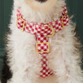 Load image into Gallery viewer, Red Gingham Dog Harness