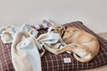 Load image into Gallery viewer, Kaya Dog Blanket- Medium