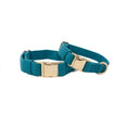 Load image into Gallery viewer, Hayden Dog Collar