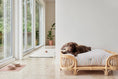 Load image into Gallery viewer, Kaya Dog Blanket- Medium