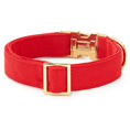 Load image into Gallery viewer, Ruby Day Dog Collar