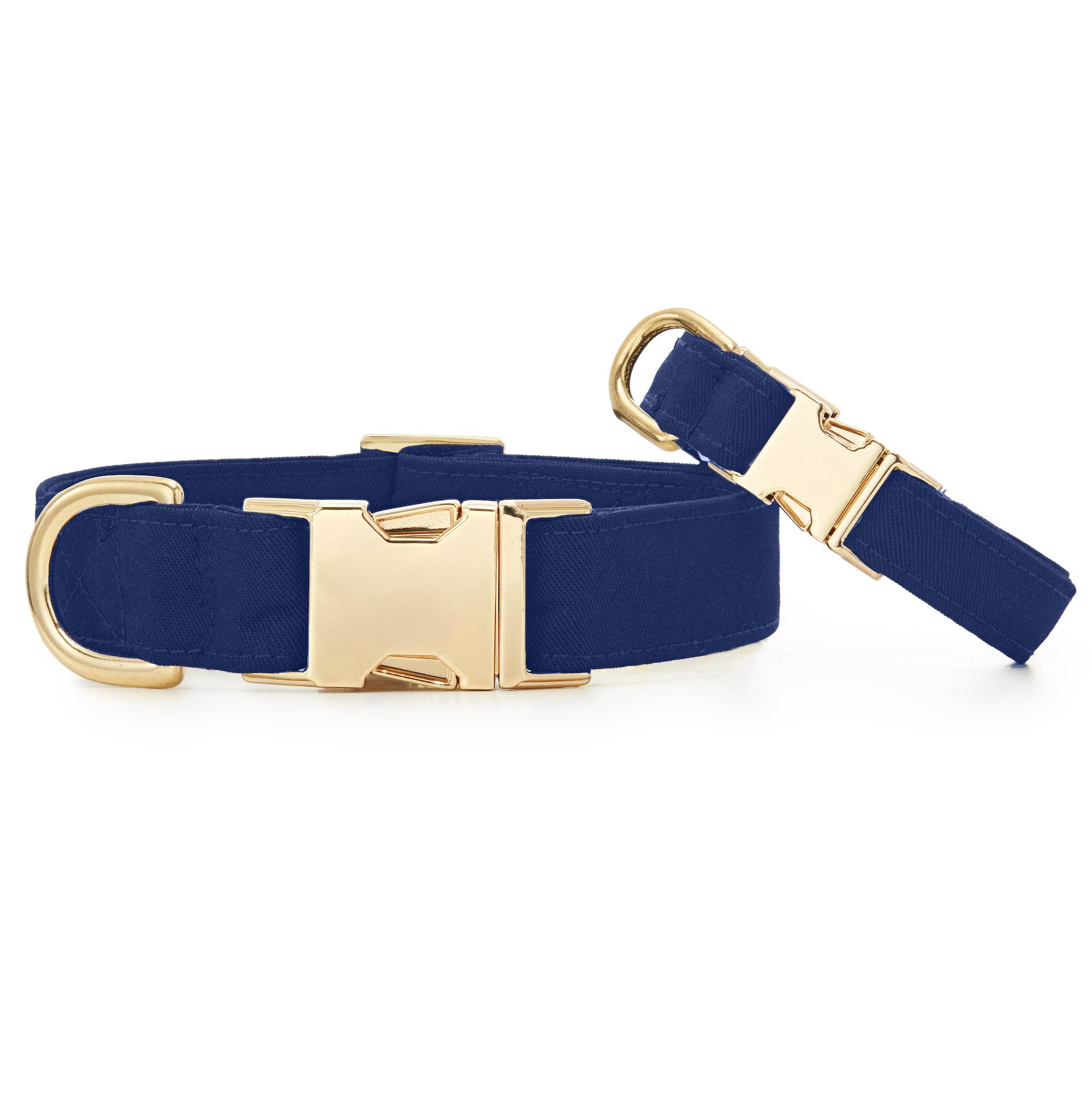 Ocean Dog Collar