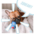 Load image into Gallery viewer, Furji Plush Dog Toy