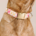 Load image into Gallery viewer, Lottie Plaid Dog Collar
