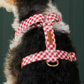 Load image into Gallery viewer, Red Gingham Dog Harness