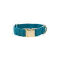 Load image into Gallery viewer, Hayden Dog Collar