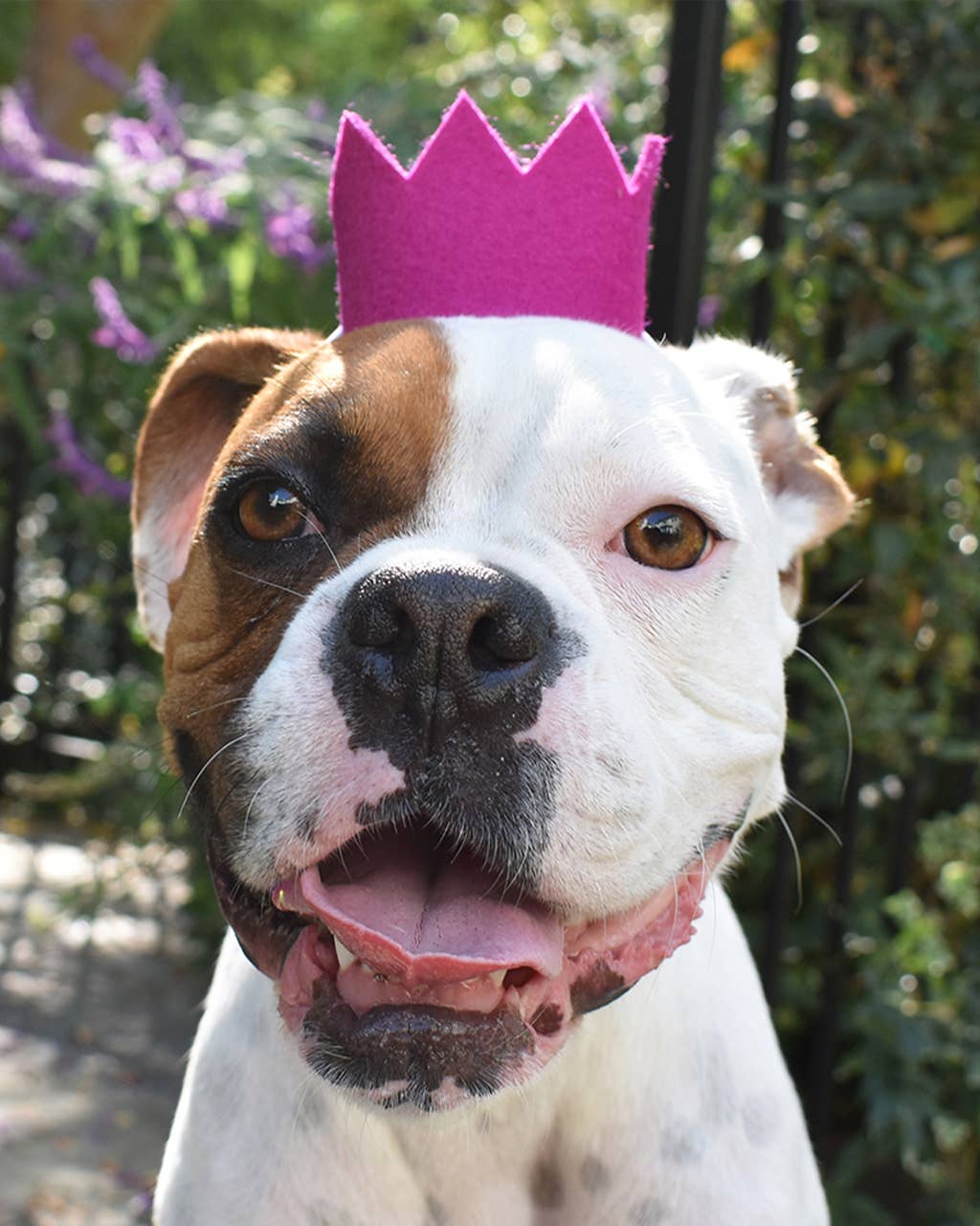 PARTY BEAST CROWN