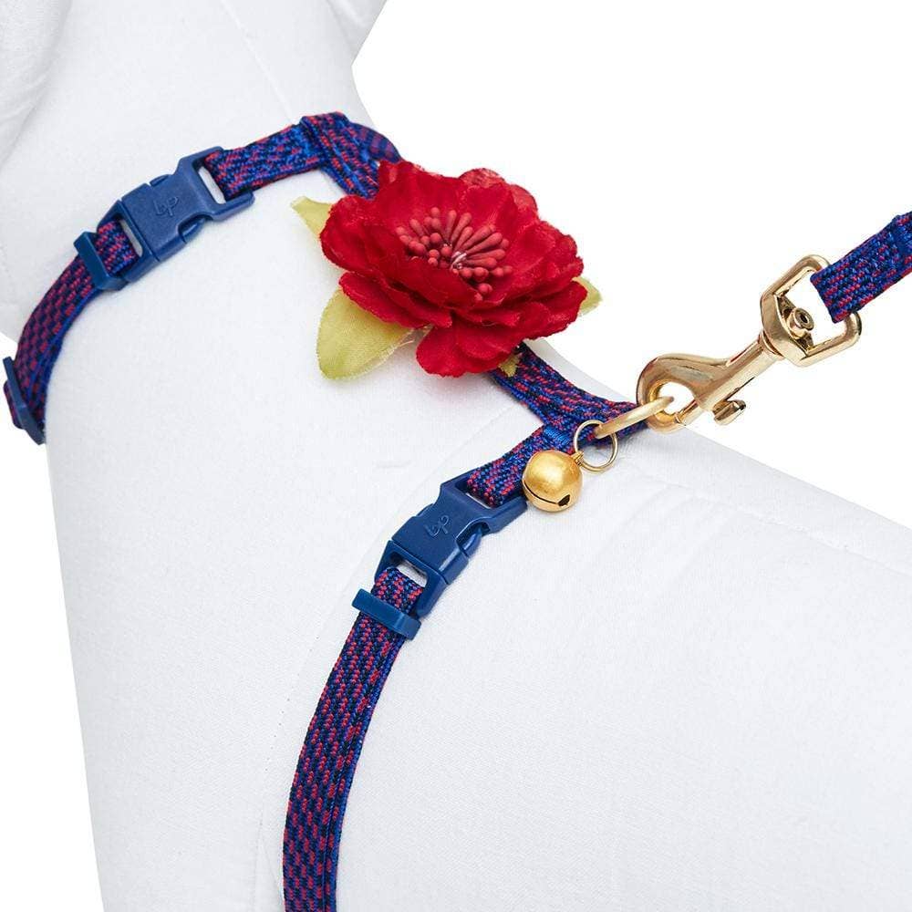 Diagonal Striped Cat Leash & Harness Set