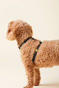 Load image into Gallery viewer, Onyx Dog Harness