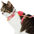 Load image into Gallery viewer, Diagonal Striped Cat Leash & Harness Set