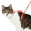 Load image into Gallery viewer, Diagonal Striped Cat Leash & Harness Set