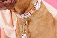 Load image into Gallery viewer, Clarke Rainbow Dog Collar
