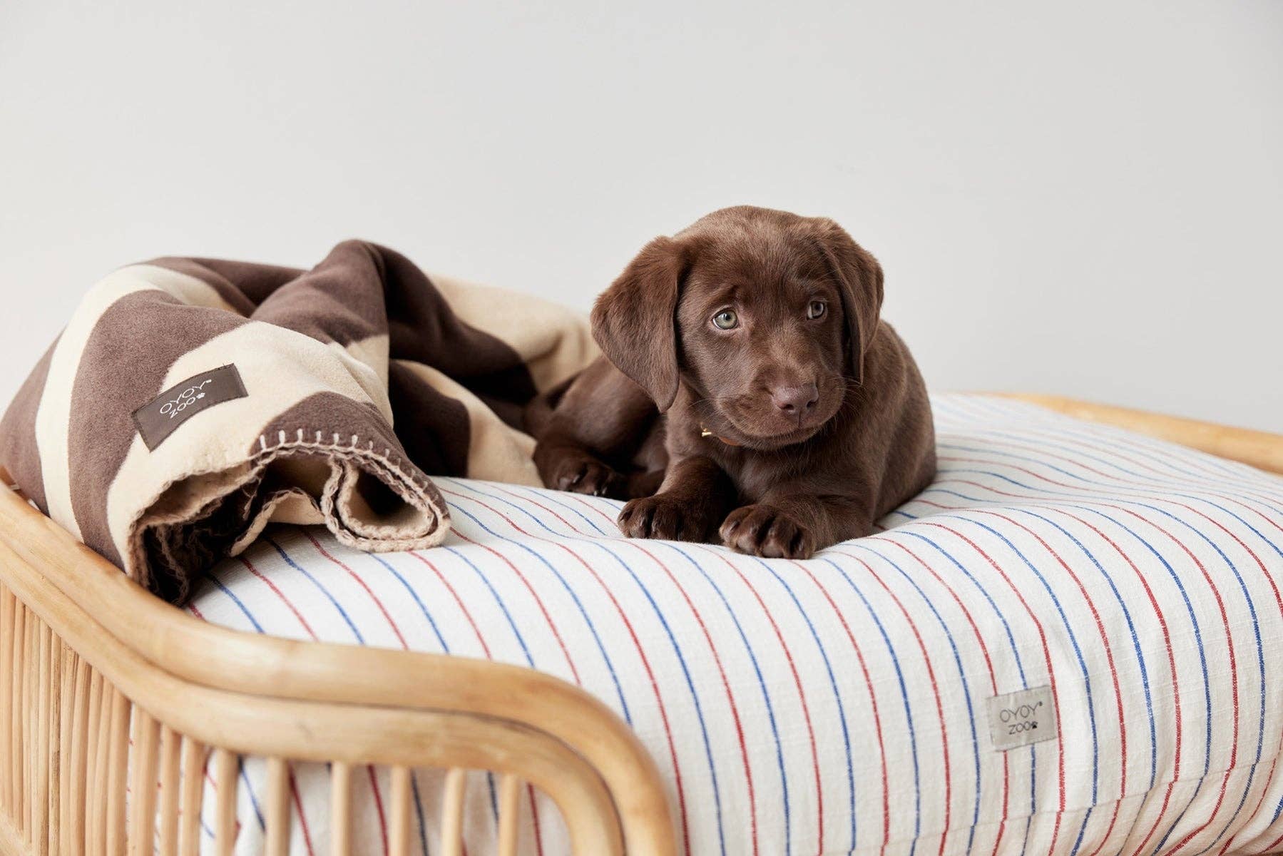 Kyoto Dog Cushion - Mellow
